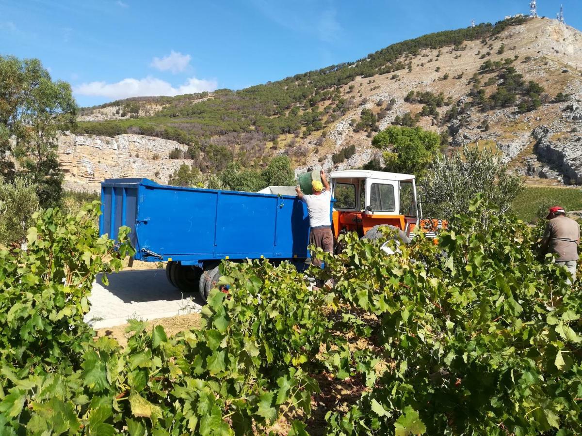 אלקאמו Villa Bonifato Vista Sulle Campagne E Sul Mare Siciliano Cozy House Italy מראה חיצוני תמונה